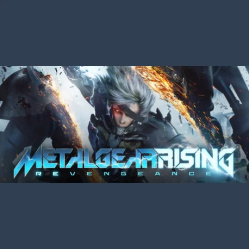 Metal Gear Rising Revengeance (PC)