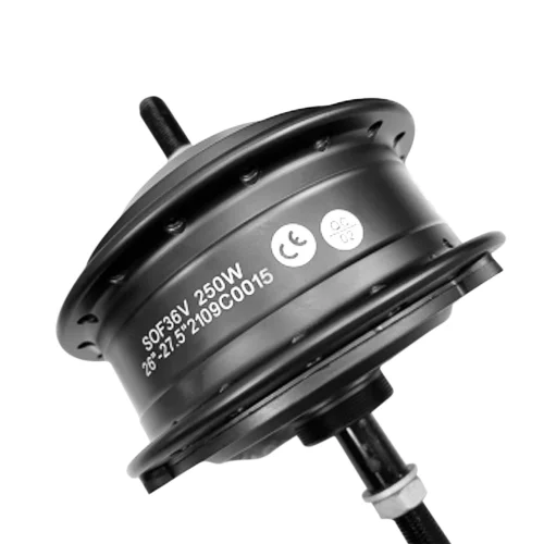 Motor de 36 V y 250 W para Eleglide M1 Plus