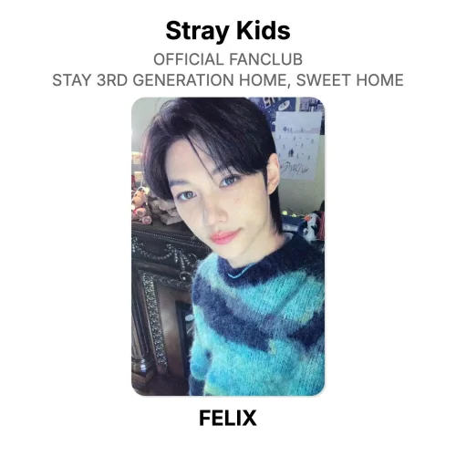 Stray Kids ОФИЦИАЛЬНЫЙ ФАН-КЛУБ STAY 3-Е ПОКОЛЕНИЕ HOME, SWEET HOME Оф