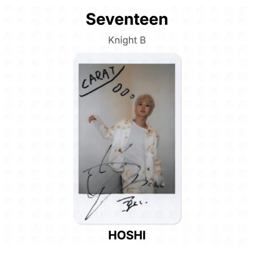 Официальная фотокарточка Seventeen Knight B HOSHI gray