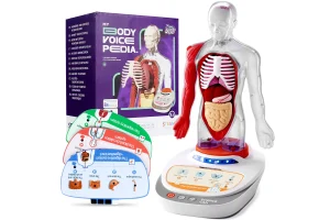 Halloween Science Exploration Toys! Kids’ Spooky Talking Human Body Model – 15 Removable Parts +