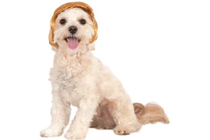 Pawlitical Billionaire Wig Pet Costume - M/L