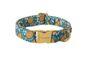 Unique style paws Halloween Dog Collar Metal Buckle Collar Gift for Small Medium Large Boys Girls Do
