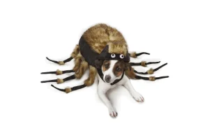 Zack & Zoey® Tarantula Dog Costume - S
