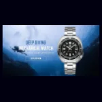Addiesdive Watches