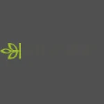 Ancestry logo
