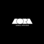 Aoramakeup logo