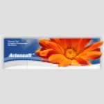 Artensoft logo