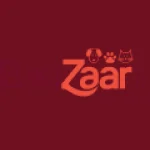 Bauzaar logo