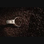 BIG Year Coffee logo