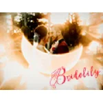 Bridelily logo