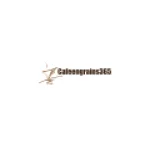 Cafeengrains365 Fr logo