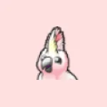 Cockatoo logo