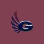 Gemimarket logo