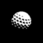 Holey Moley logo