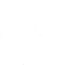 Knog AUS ( 1 Day) logo