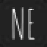 Noir Envy Boutique logo
