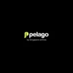 Pelago By Singapore Airlines AD logo
