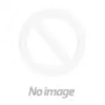 Phat Catz Gaming logo