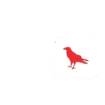 Redravenstore logo