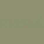 Robud logo