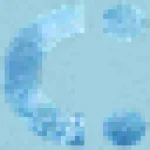 Scandigum logo